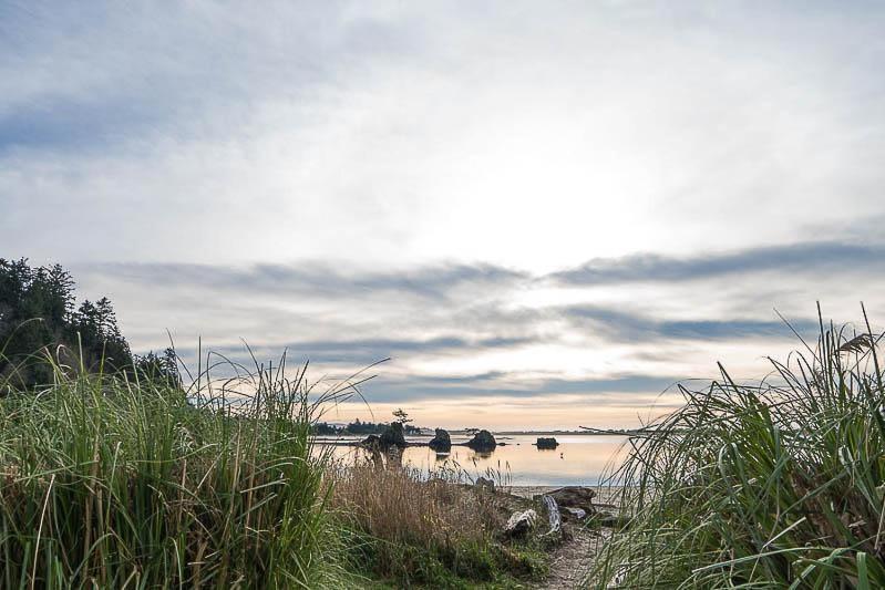Birds Nest Suite Lincoln City Extérieur photo